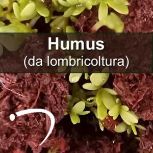 humus-da-lombricoltura